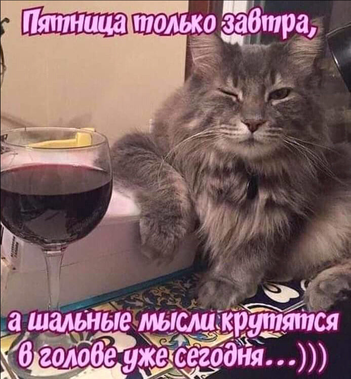 изображение_viber_2020-09-17_19-36-03.jpg