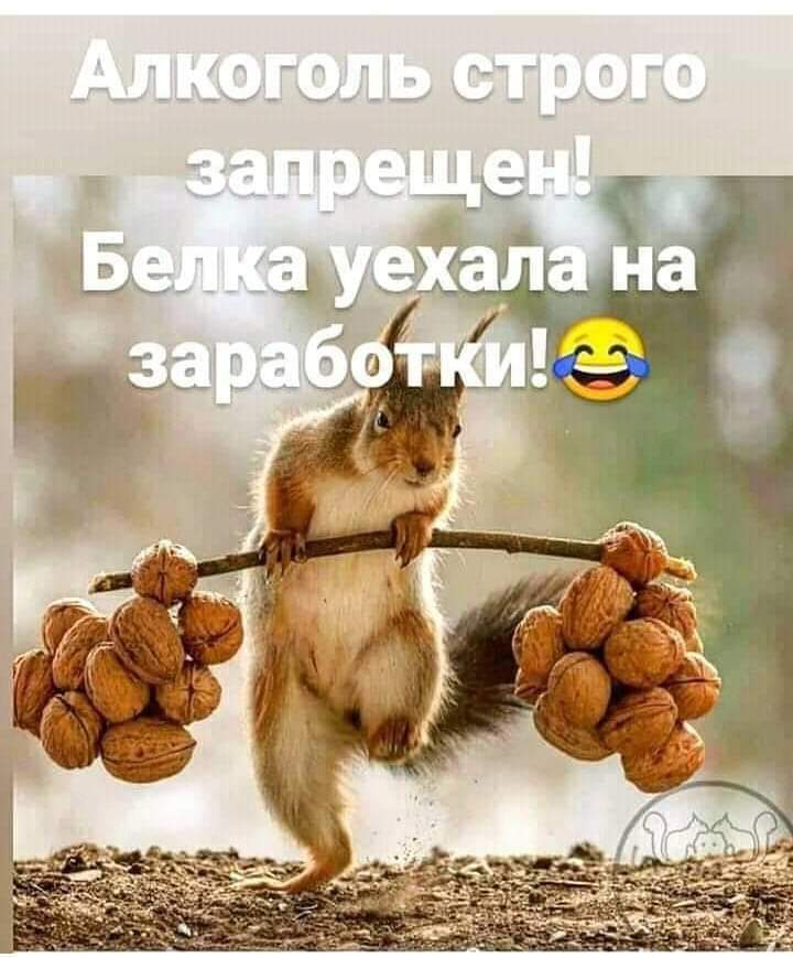изображение_viber_2020-09-18_13-14-232.jpg