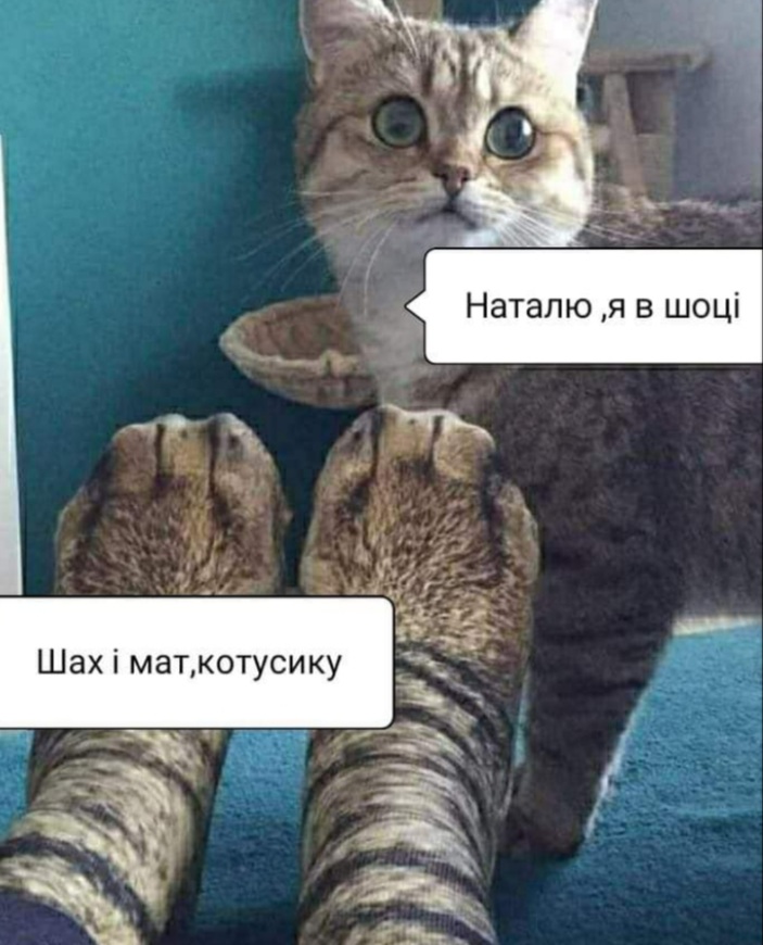 изображение_viber_2020-09-18_19-46-531.jpg