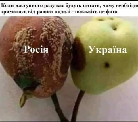 изображение_viber_2020-09-22_20-13-19.jpg