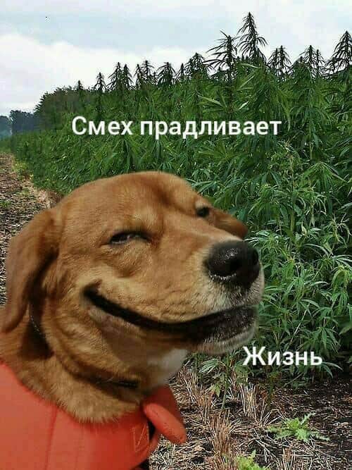 изображение_viber_2020-09-25_14-01-20.jpg