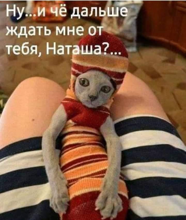 изображение_viber_2020-09-25_14-02-17.jpg