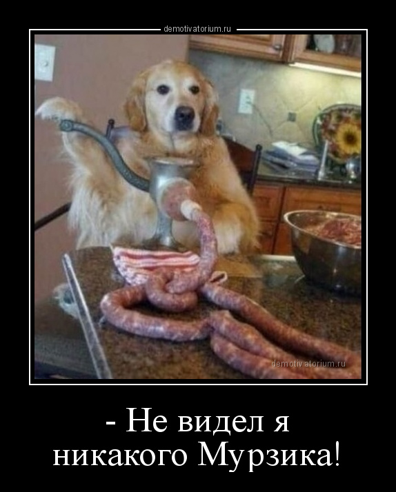 изображение_viber_2020-09-25_14-03-33.jpg