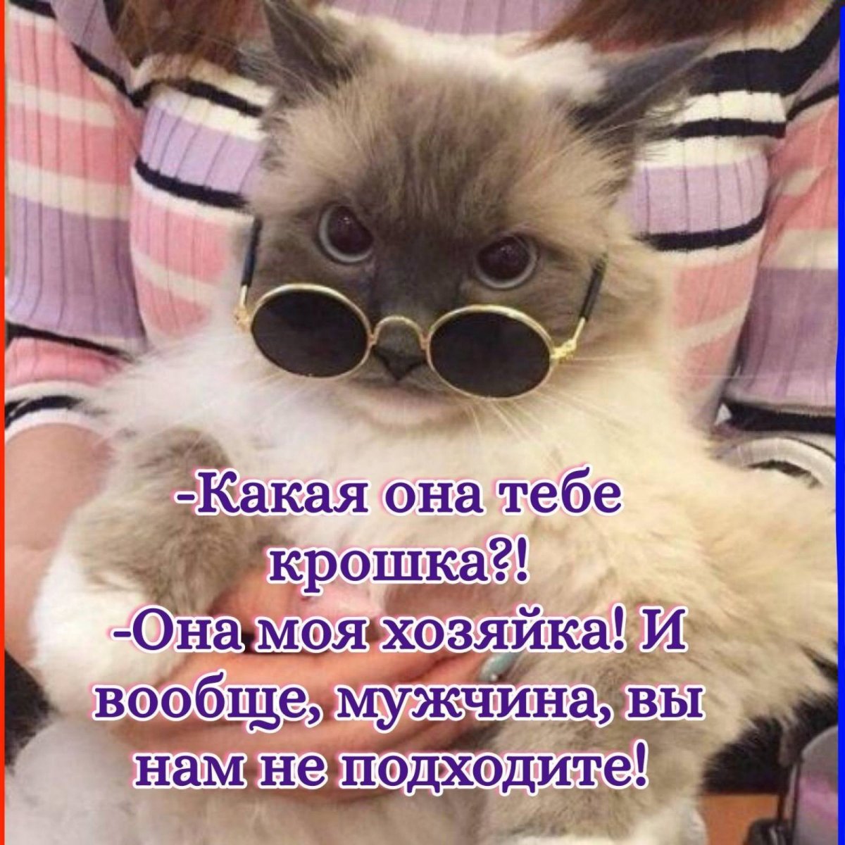 изображение_viber_2020-09-25_17-23-11.jpg