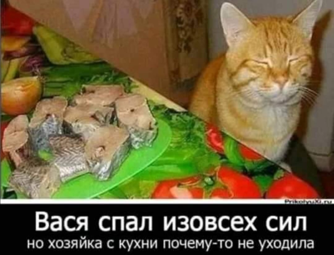изображение_viber_2020-09-27_12-01-18.jpg
