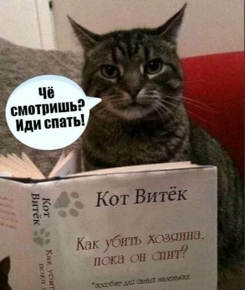 изображение_viber_2020-09-27_23-25-30.jpg
