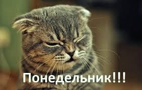 изображение_viber_2020-09-28_08-20-18.jpg
