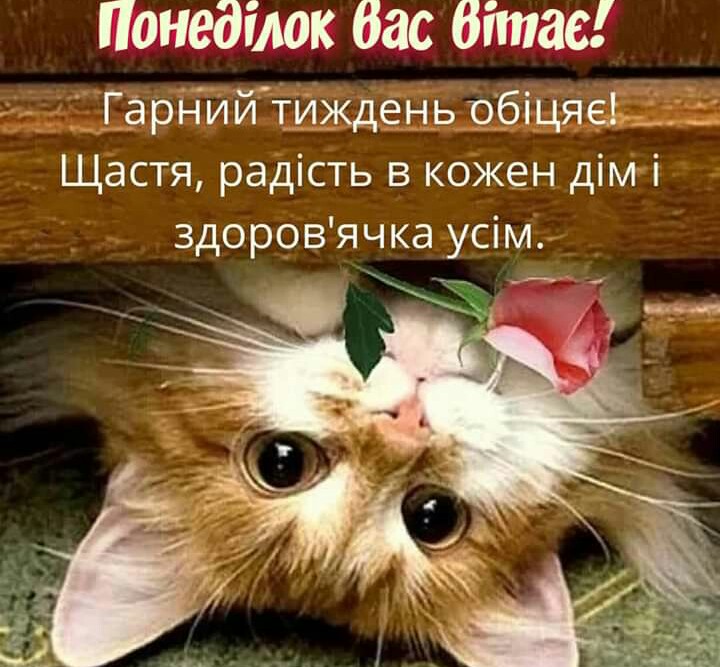 изображение_viber_2020-09-28_08-33-19.jpg