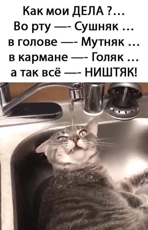 изображение_viber_2020-09-28_12-12-25.jpg