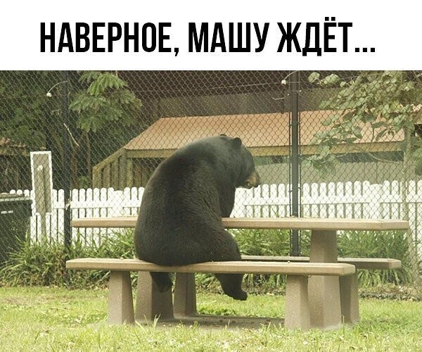 изображение_viber_2020-09-29_10-53-14.jpg