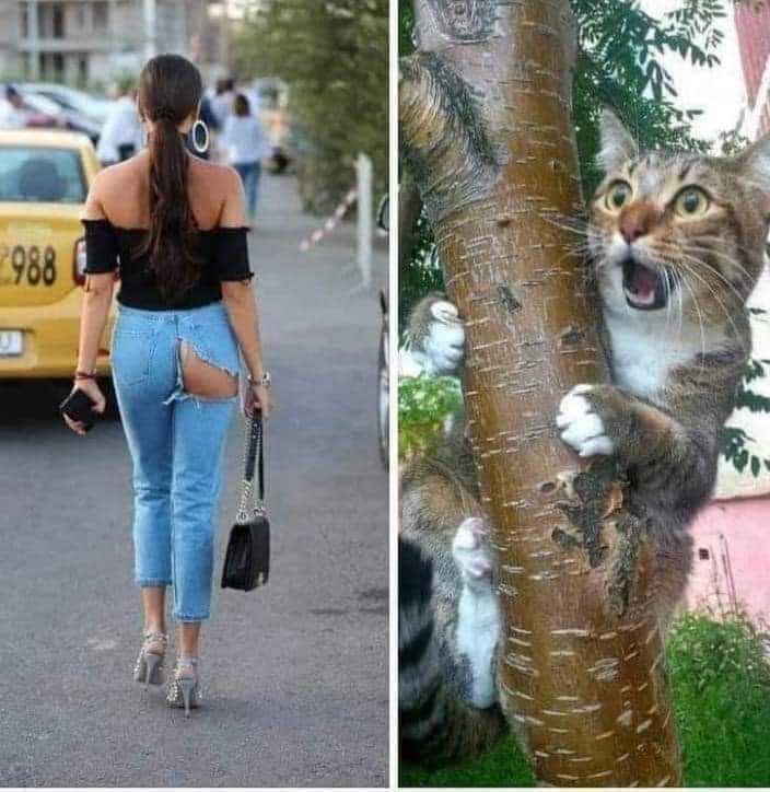 изображение_viber_2020-10-01_12-31-40.jpg