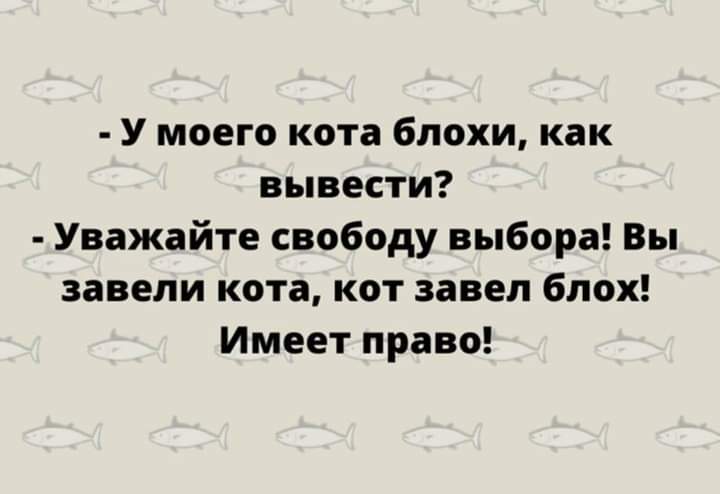 изображение_viber_2020-10-01_16-11-54.jpg