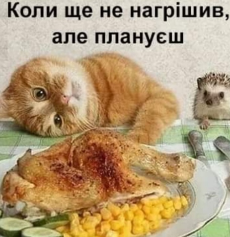 изображение_viber_2020-10-01_19-50-38.jpg