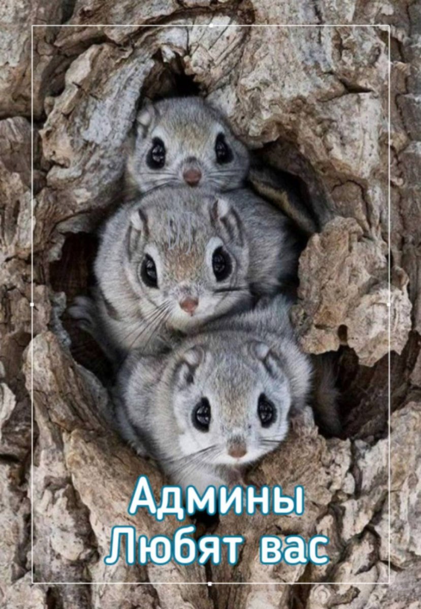 изображение_viber_2020-10-02_10-14-48.jpg