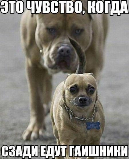 изображение_viber_2020-10-02_11-50-22.jpg