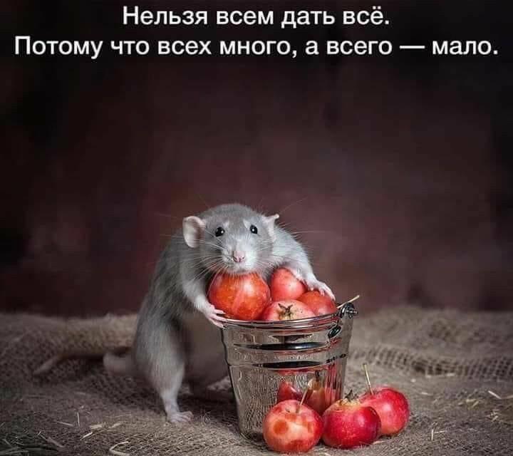 изображение_viber_2020-10-02_20-24-20.jpg