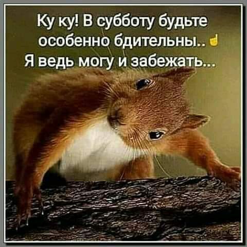 изображение_viber_2020-10-02_23-16-56.jpg