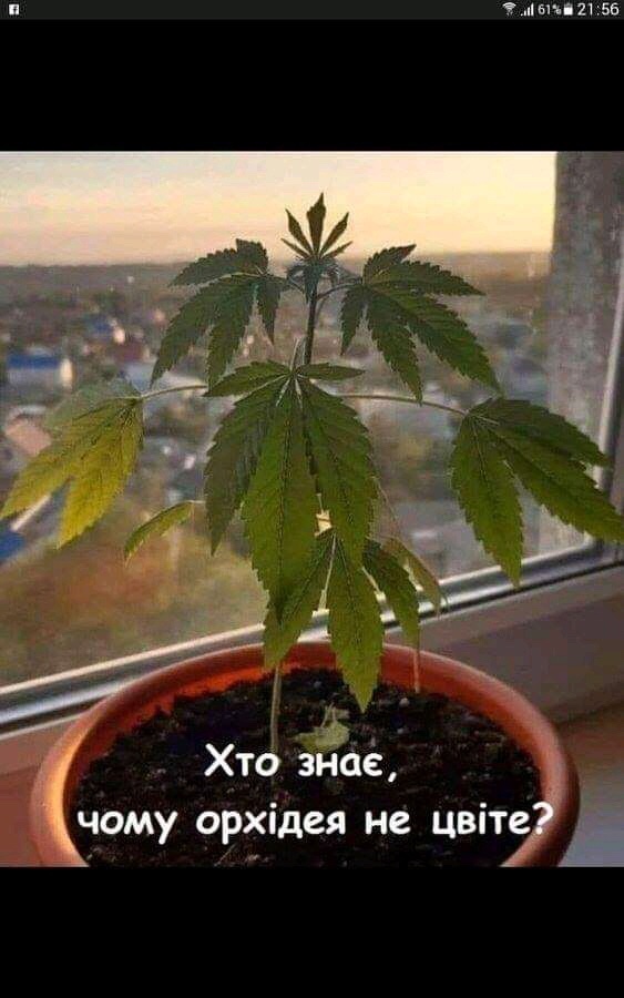 изображение_viber_2020-10-03_11-05-36.jpg