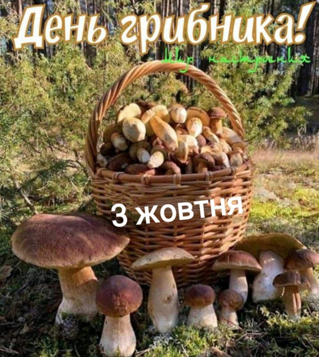 изображение_viber_2020-10-03_14-37-51.jpg