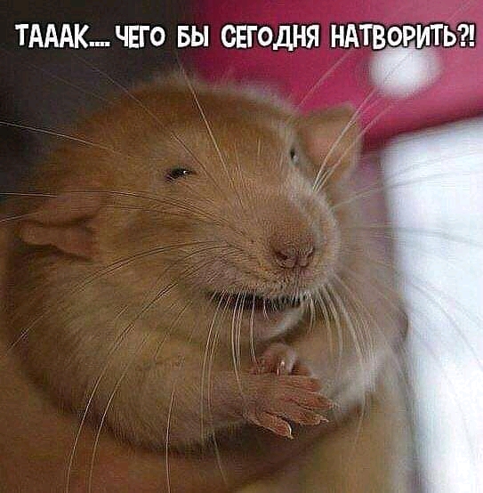 изображение_viber_2020-10-03_18-16-58.jpg