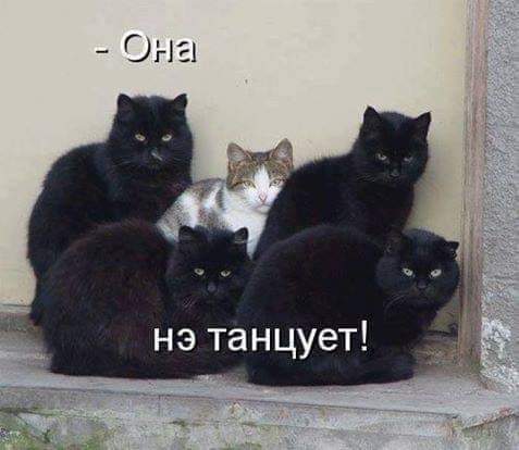 изображение_viber_2020-10-03_21-03-57.jpg