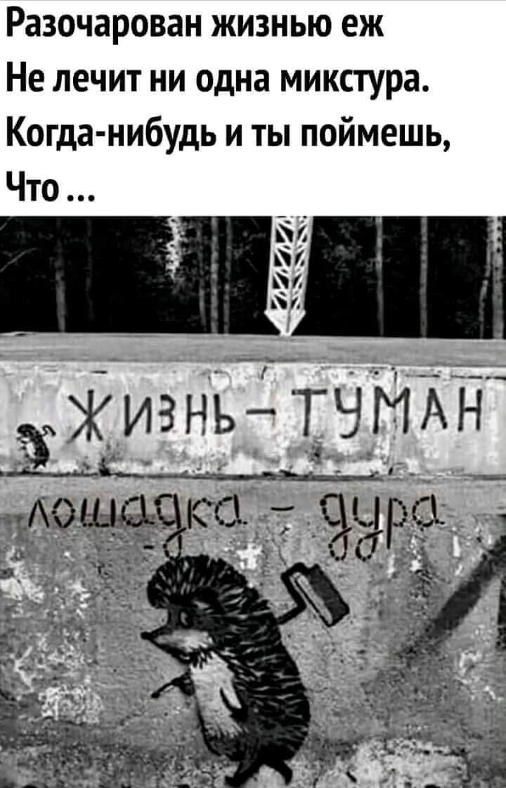 изображение_viber_2020-10-04_11-48-43.jpg