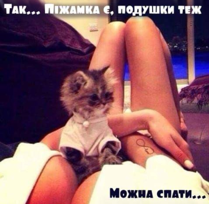 изображение_viber_2020-10-04_22-21-34.jpg