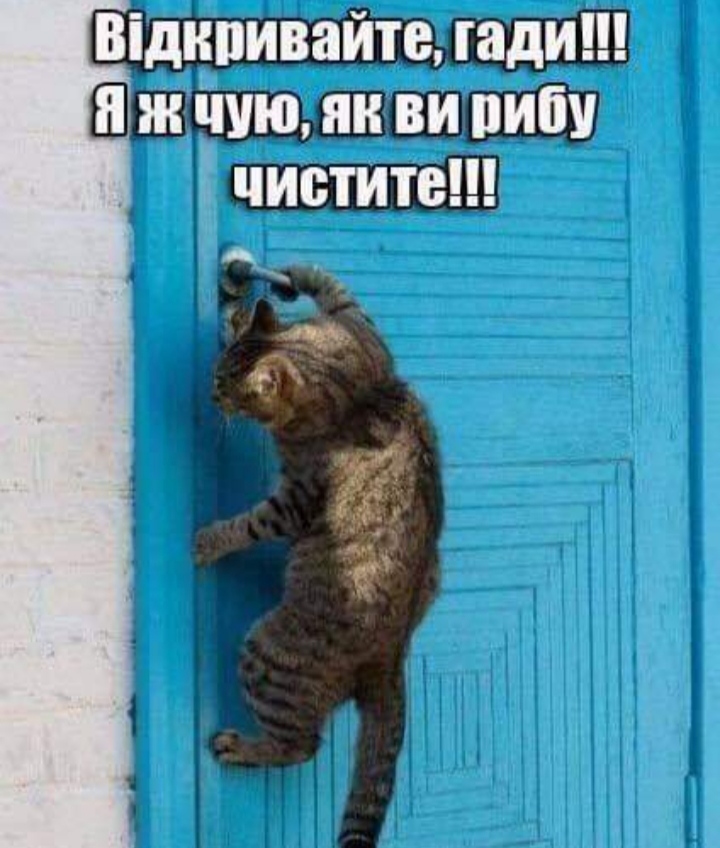 изображение_viber_2020-10-05_10-15-35.jpg