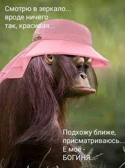 изображение_viber_2020-10-10_22-43-03.jpg