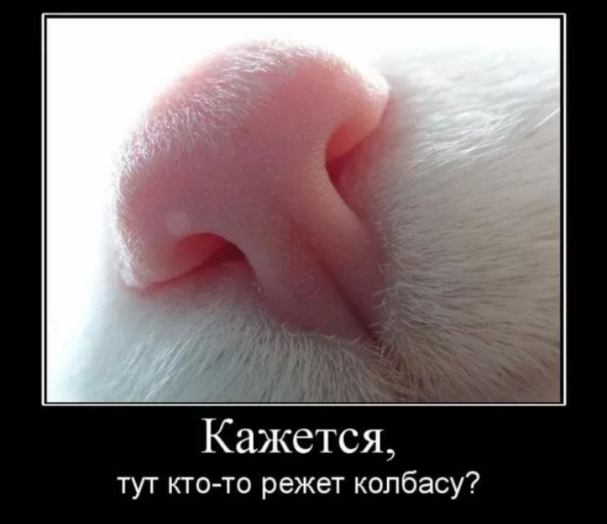 Колбаса прикол