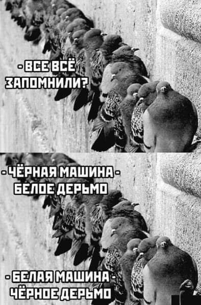 изображение_viber_2020-10-21_10-02-28.jpg
