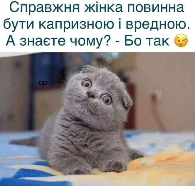 изображение_viber_2020-10-21_19-27-172.jpg
