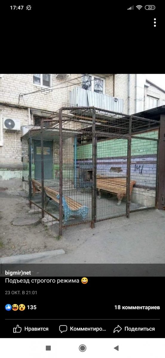 изображение_viber_2020-11-03_11-02-03.jpg