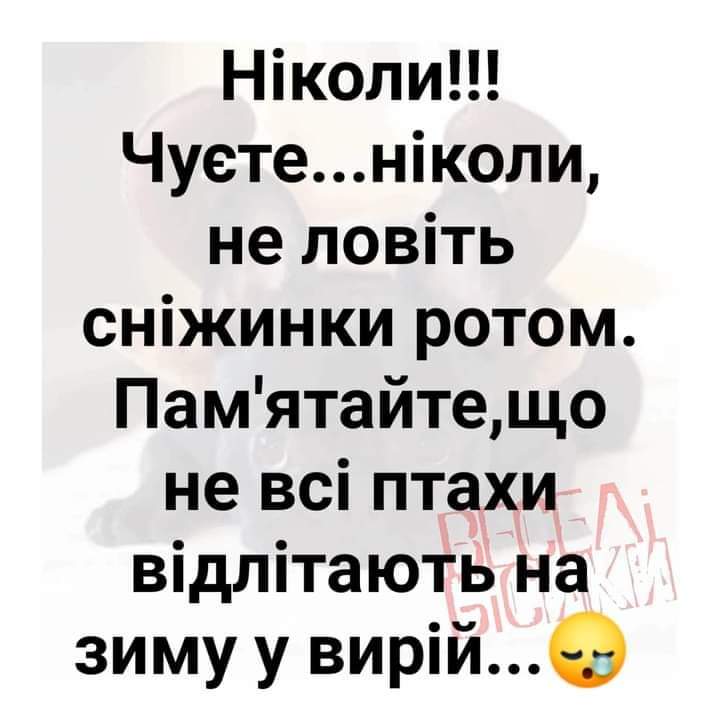 изображение_viber_2020-11-19_14-44-401.jpg