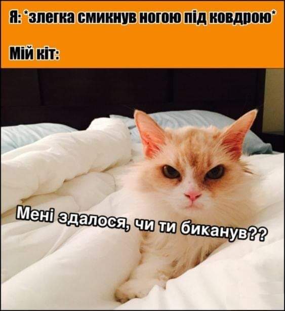 изображение_viber_2020-11-19_19-13-20.jpg