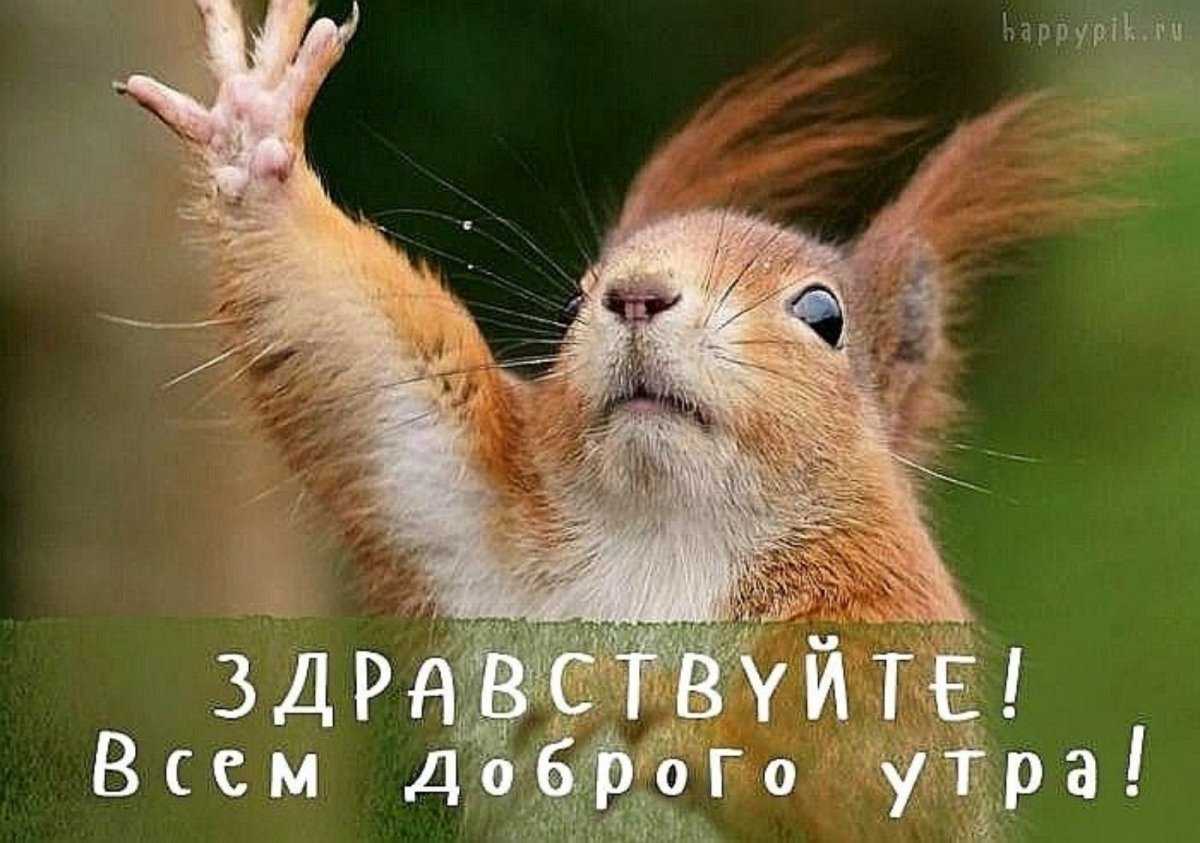 изображение_viber_2020-12-04_10-47-19.jpg