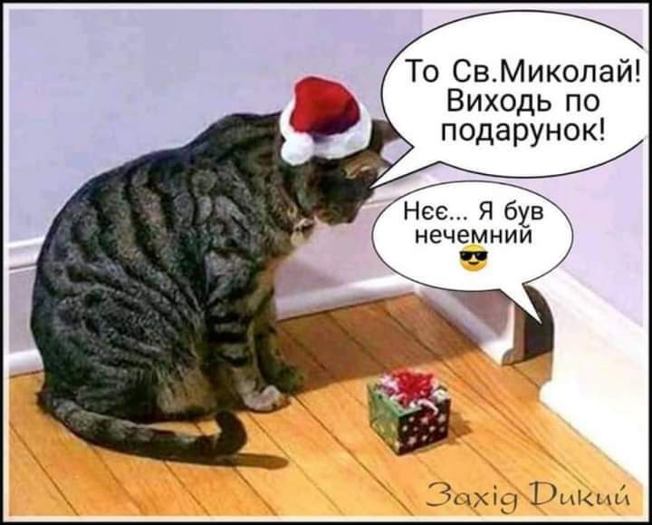изображение_viber_2020-12-04_11-19-16.jpg