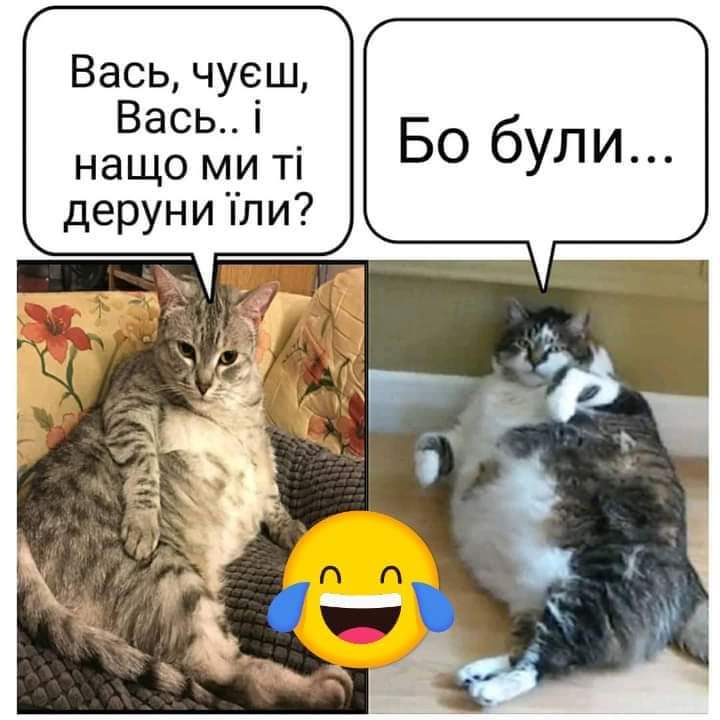 изображение_viber_2020-12-05_17-22-26.jpg