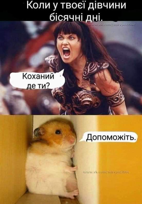 изображение_viber_2020-12-05_22-46-45.jpg