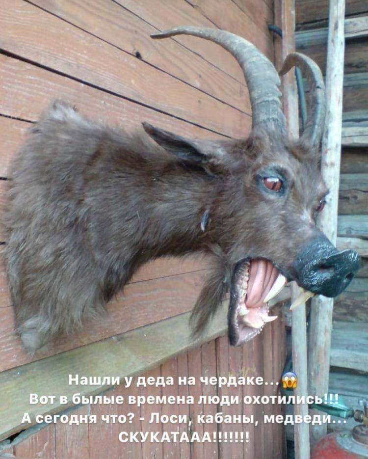 изображение_viber_2020-12-16_08-09-59.jpg