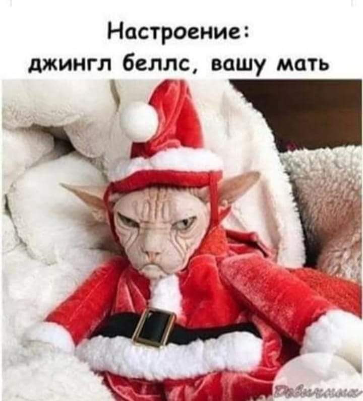 изображение_viber_2020-12-16_19-43-47.jpg