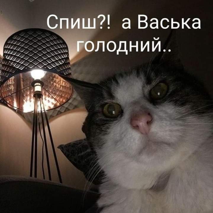 изображение_viber_2020-12-16_21-43-46.jpg