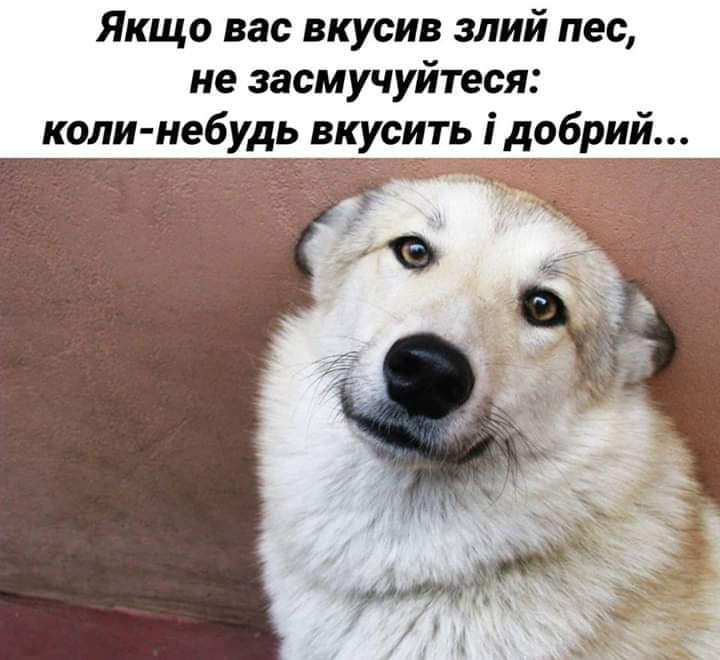 изображение_viber_2020-12-17_09-48-061.jpg