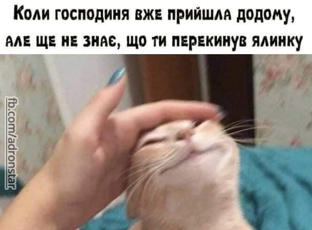 изображение_viber_2020-12-19_10-38-35.jpg