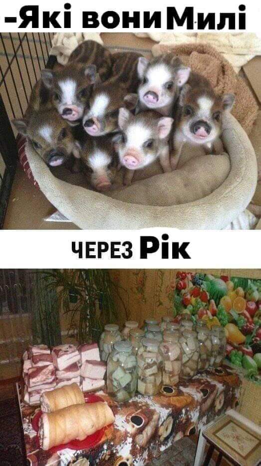 изображение_viber_2020-12-21_11-49-21.jpg