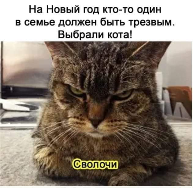 изображение_viber_2020-12-22_13-46-57.jpg