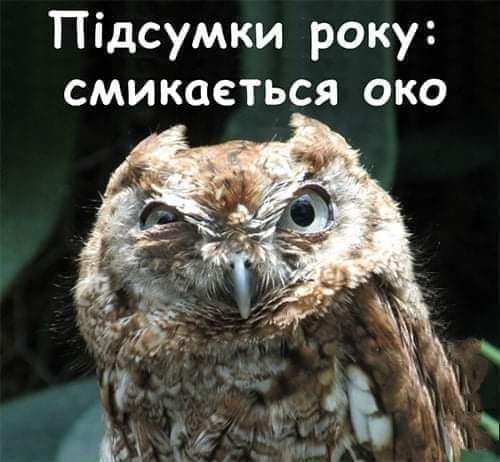 изображение_viber_2020-12-22_21-56-22.jpg