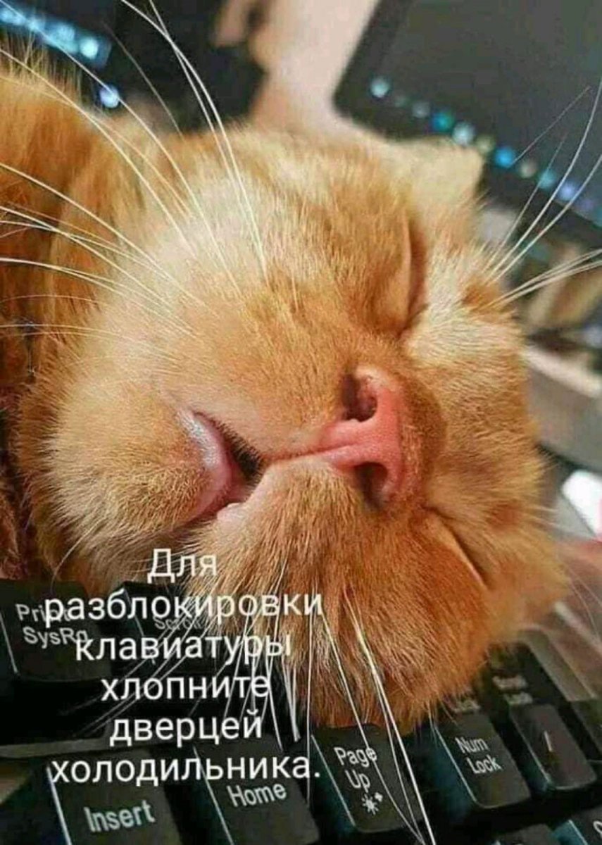 изображение_viber_2020-12-24_08-37-21.jpg