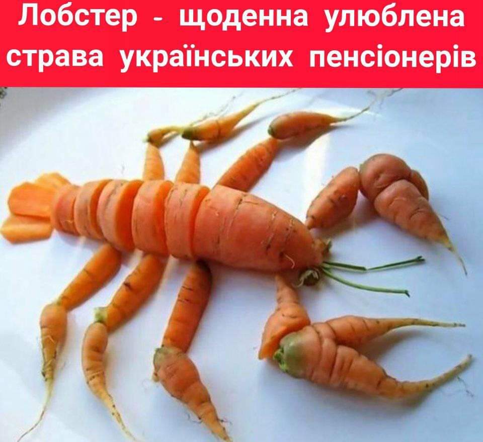 изображение_viber_2020-12-24_08-53-13.jpg