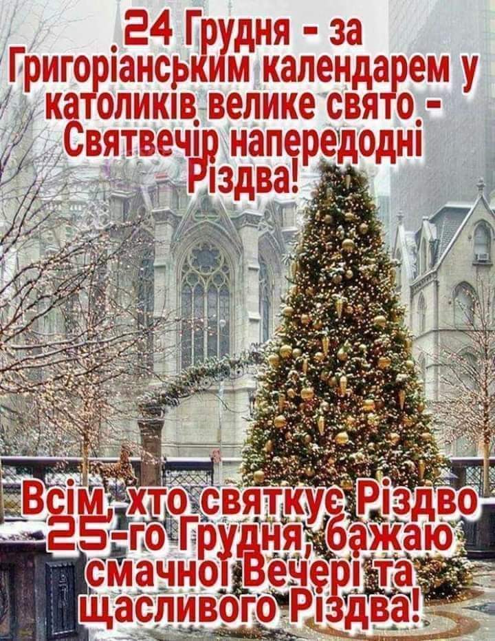 изображение_viber_2020-12-24_12-15-17.jpg